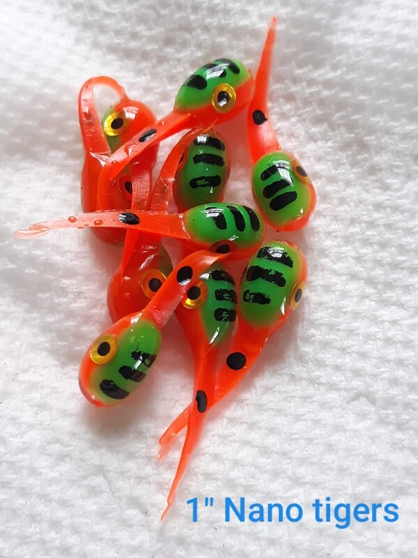 1&quot; Nano Eyes perch tiger 10 pack
