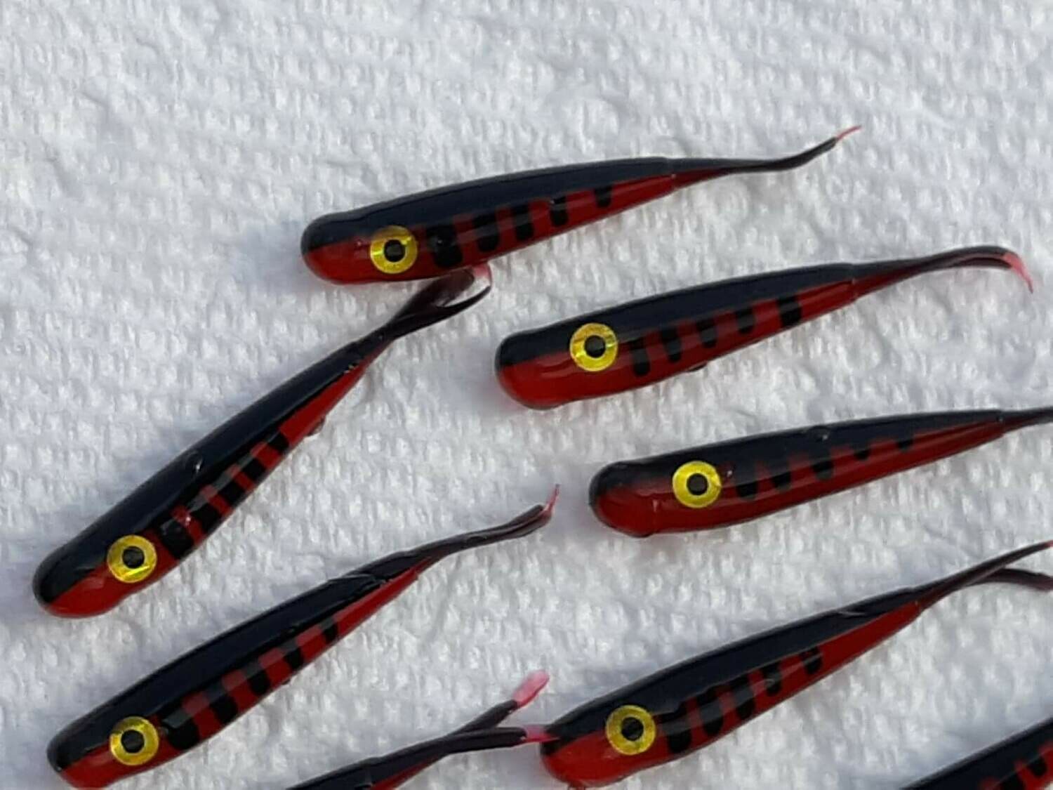 1.5&quot; Baby fluke 
Bleeding tiger perch