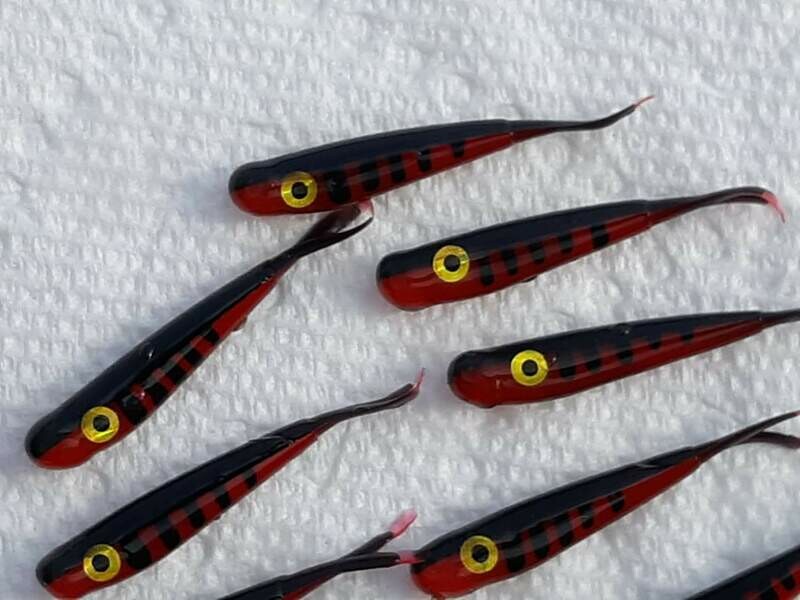 1.5&quot; Baby fluke 
Bleeding tiger perch