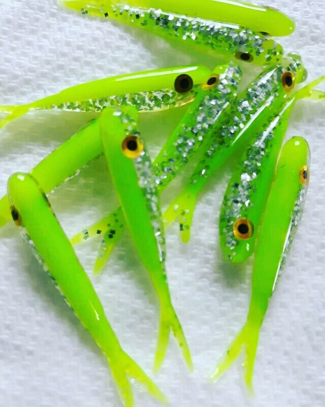 1.5 Baby fluke  10pk  $$$ maker