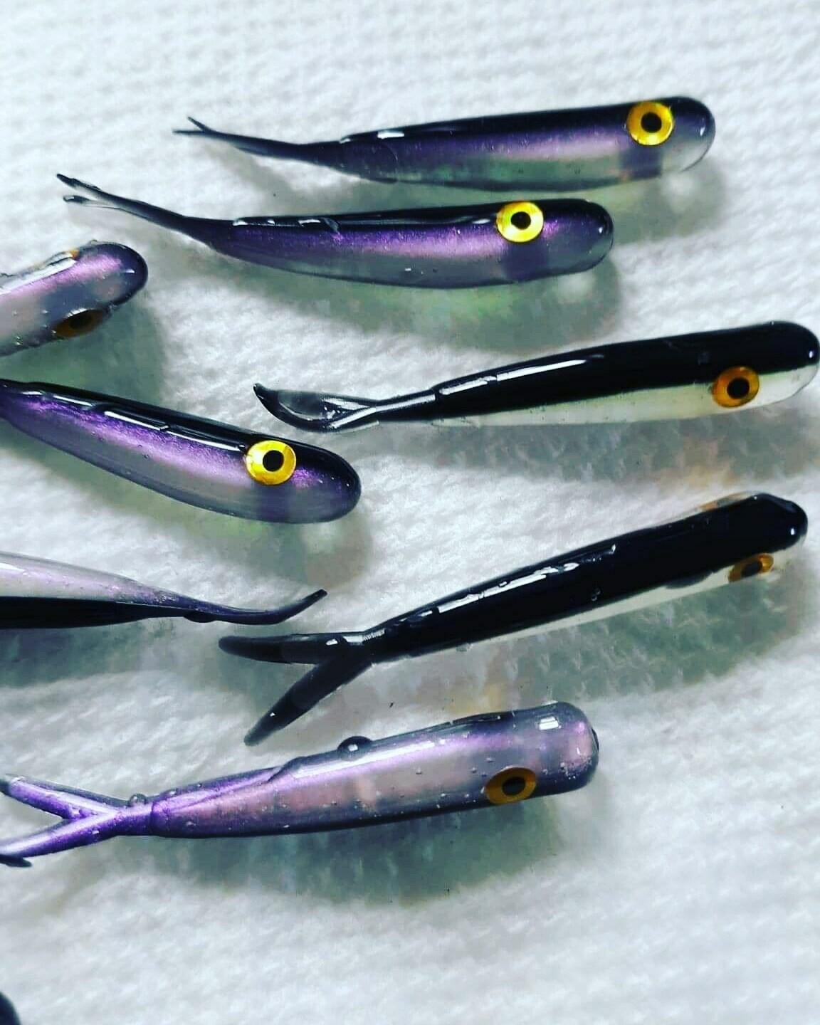 1.5&quot; Baby fluke 10pk  lake smelt