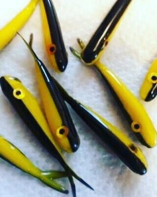 1.5&quot; Baby fluke  10pk  bumblebee
