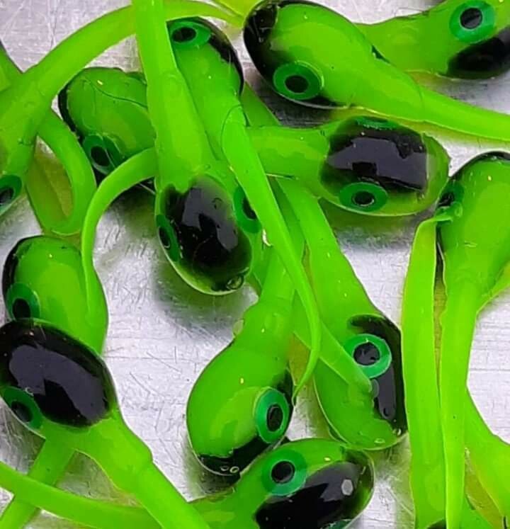 1 1 /4&quot; Lil swimmers  10 pack