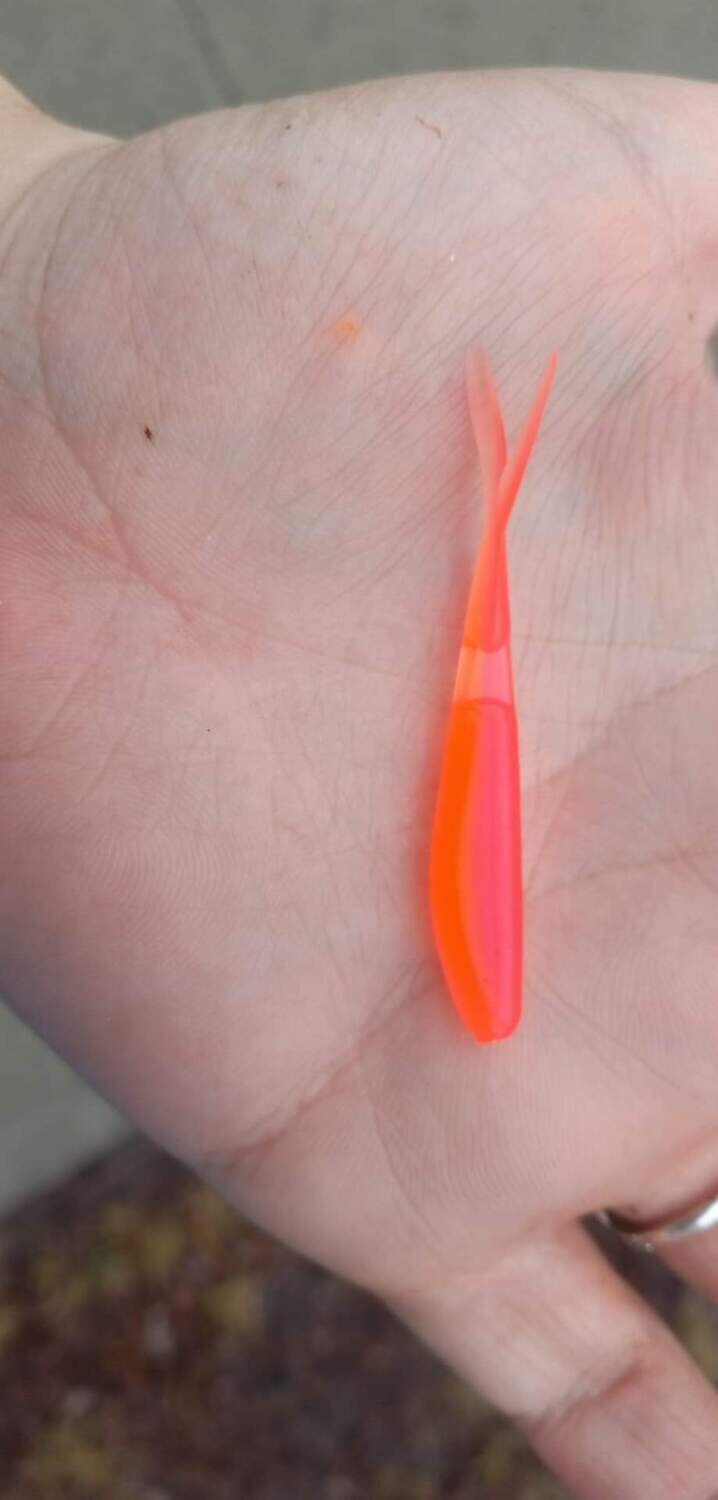 2 1/4&quot; Mad hoppin minnows 10 per pack