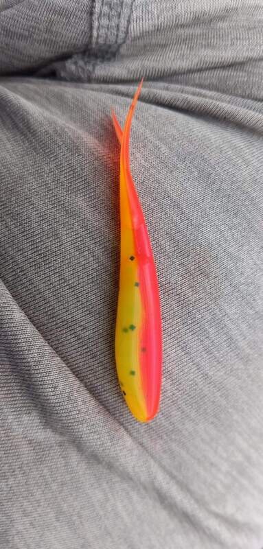 2 1/4&quot; Mad hoppin minnows 10 per pack