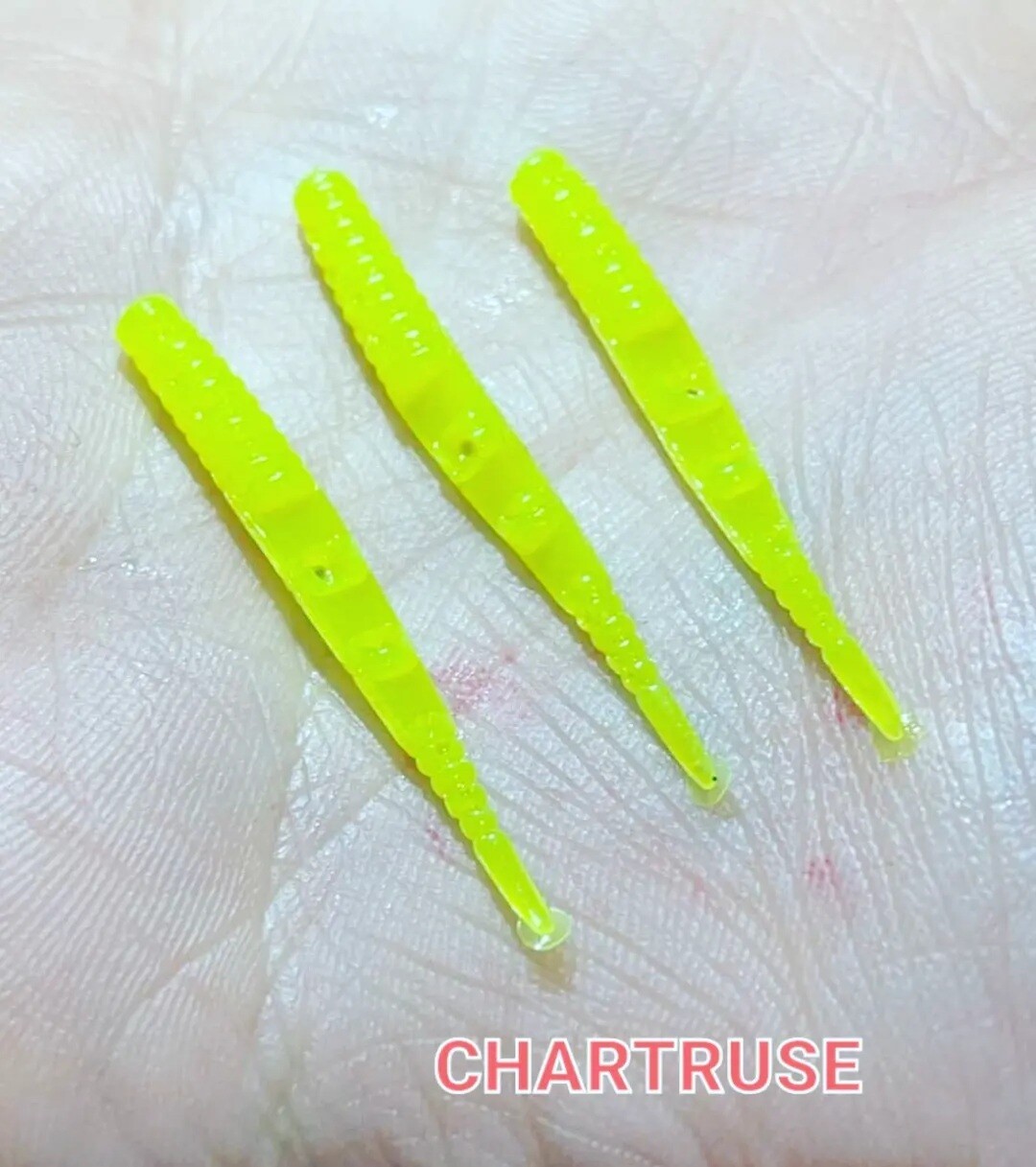 1.5&quot; Dancin leeches  10 per pack