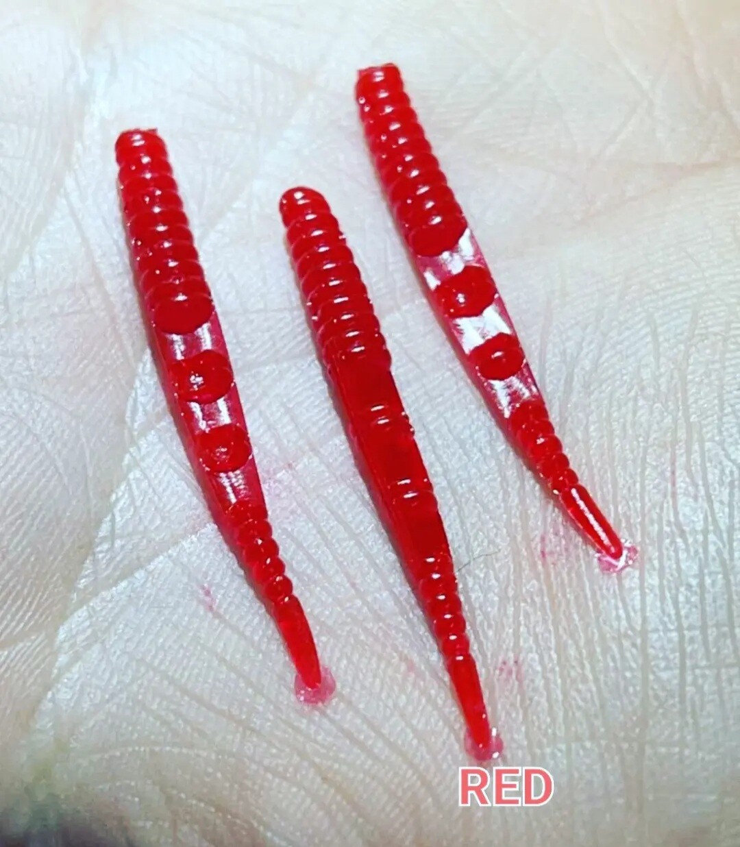1.5&quot; Dancin leeches  10 per pack