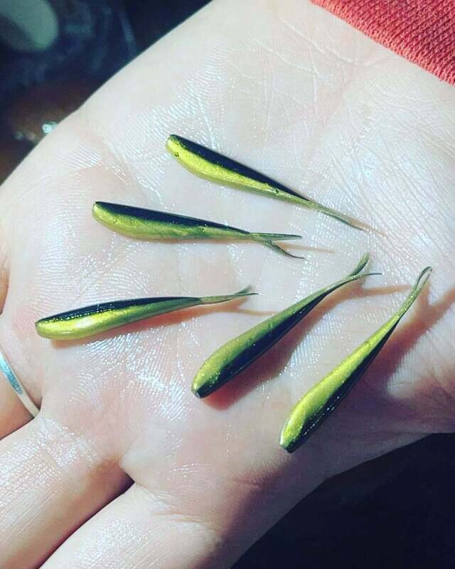 1.5&quot; Baby fluke 
10 per pack