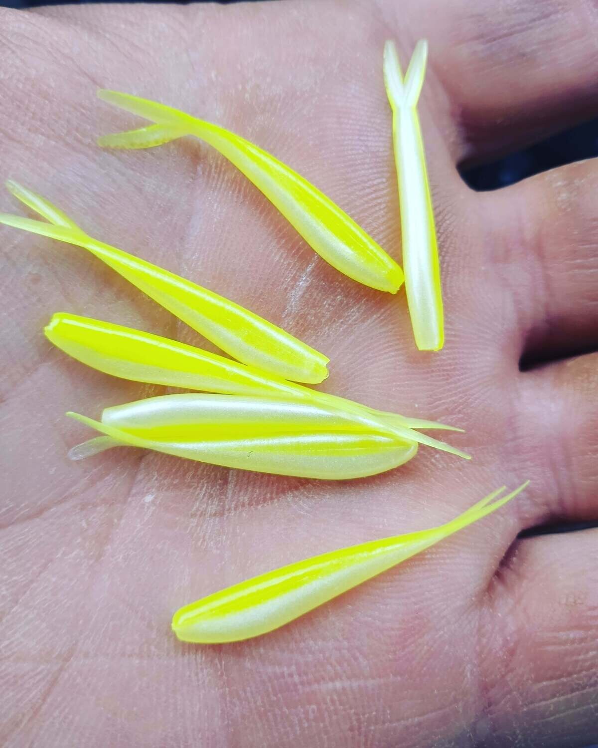 1.5&quot; Baby fluke 
20 per pack
