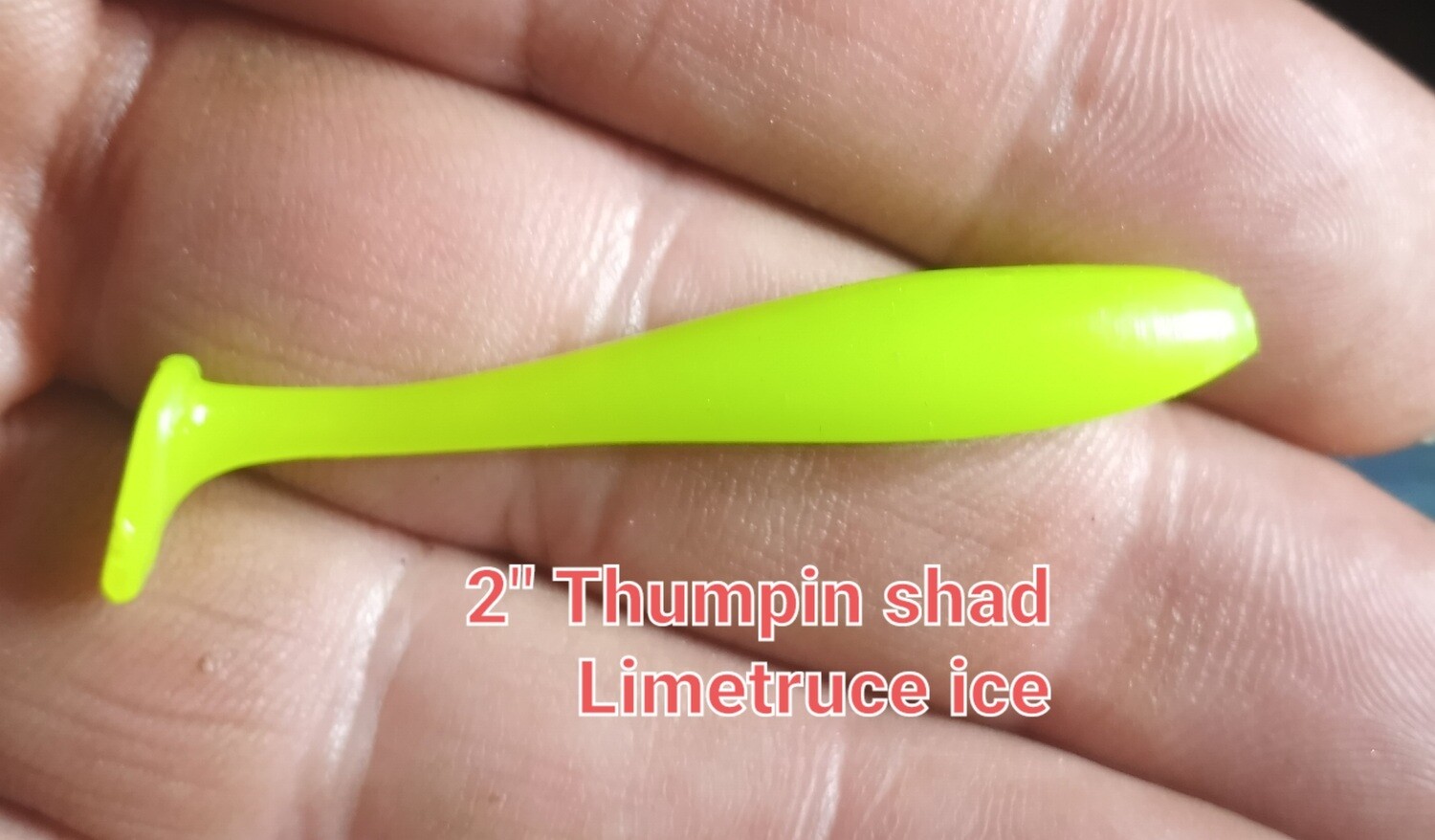 2" Panfish Thumpers  10 per pack