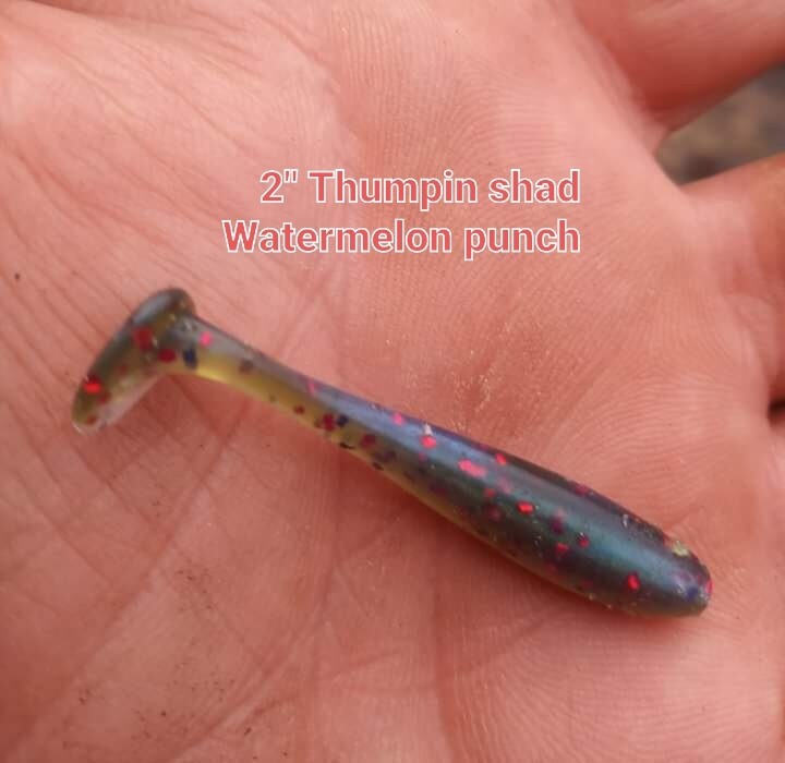 2" Panfish Thumpers  10 per pack