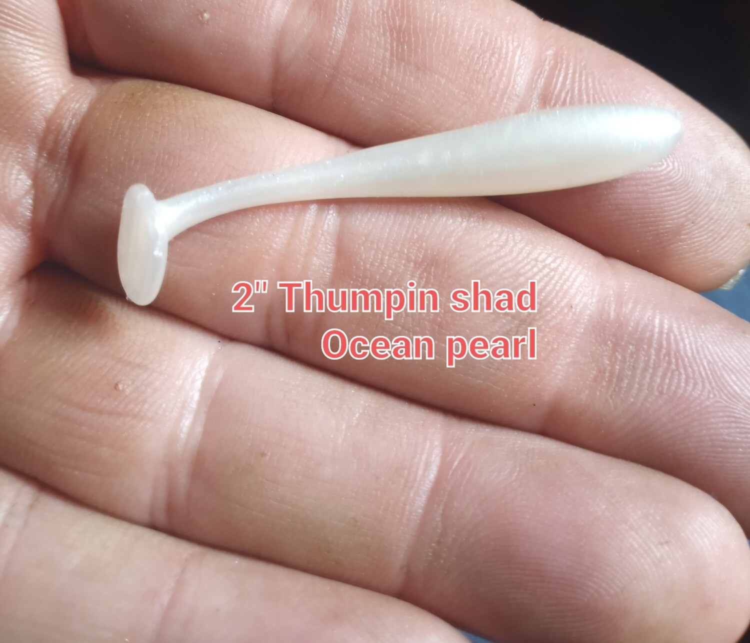 2" Panfish Thumpers  10 per pack