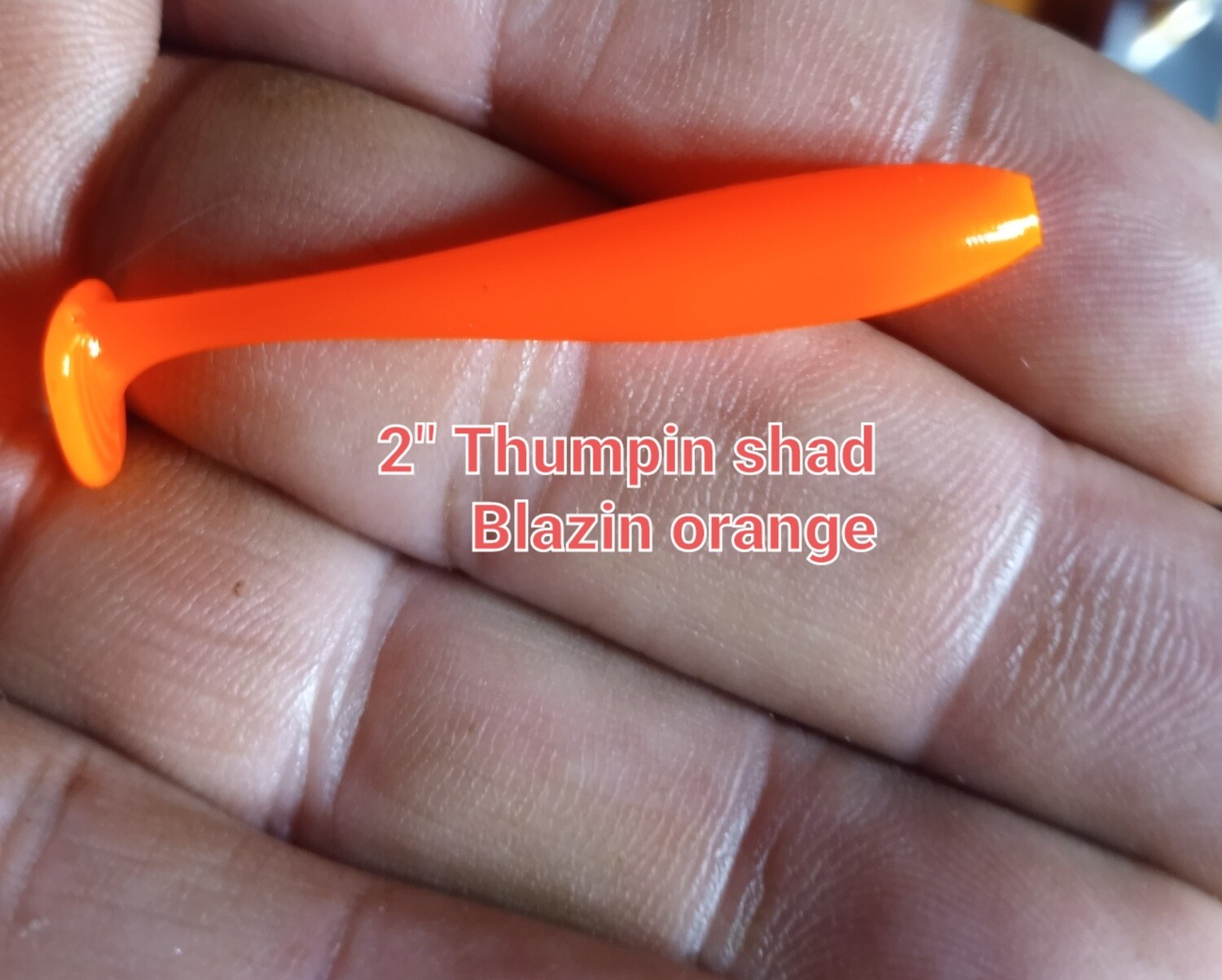 2" Panfish Thumpers  10 per pack