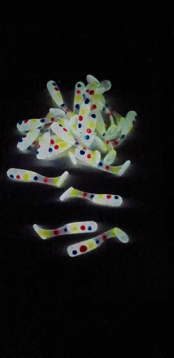 1&quot; Ice shad Wonder bread white glo  10 per pack