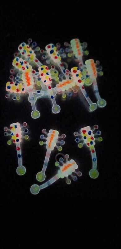 1&quot; Splatter bug  wonder bread white glo  14 per pack