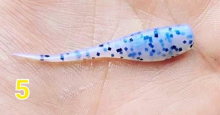 2&quot; Candy shad 
12 per pack