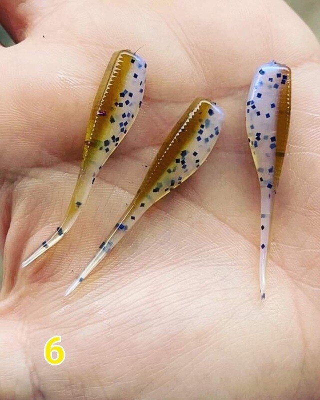 2&quot; Candy shad 
12 per pack