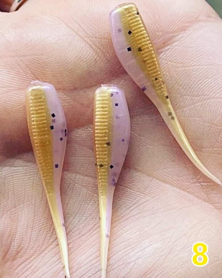 2&quot; Candy shad 
12 per pack