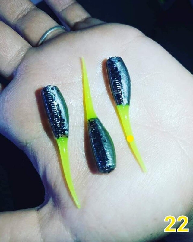 2&quot; Candy shad 
12 per pack
