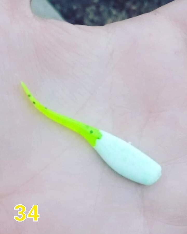 2&quot; Candy shad 
12 per pack