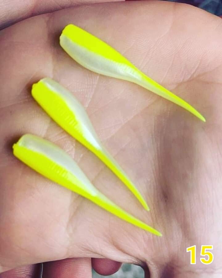 2&quot; Candy shad 
12 per pack
