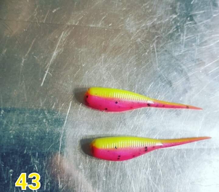 2&quot; Candy shad 
12 per pack