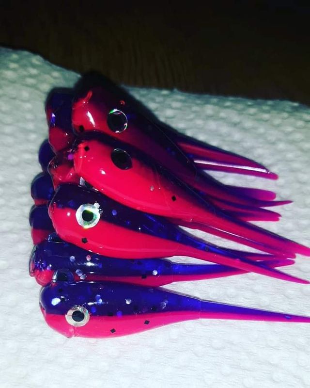 2&quot; Candy shad eyes 
12 per pack