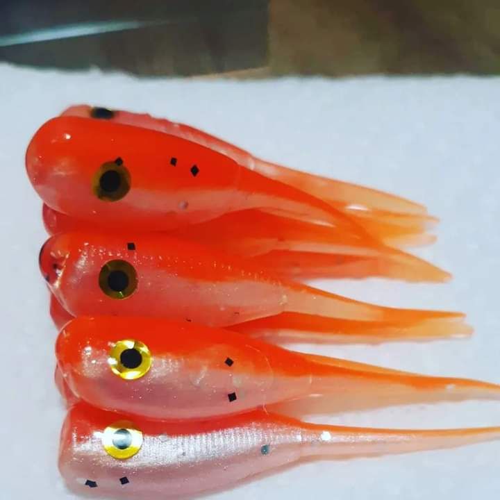 2&quot; Candy shad eyes 
12 per pack