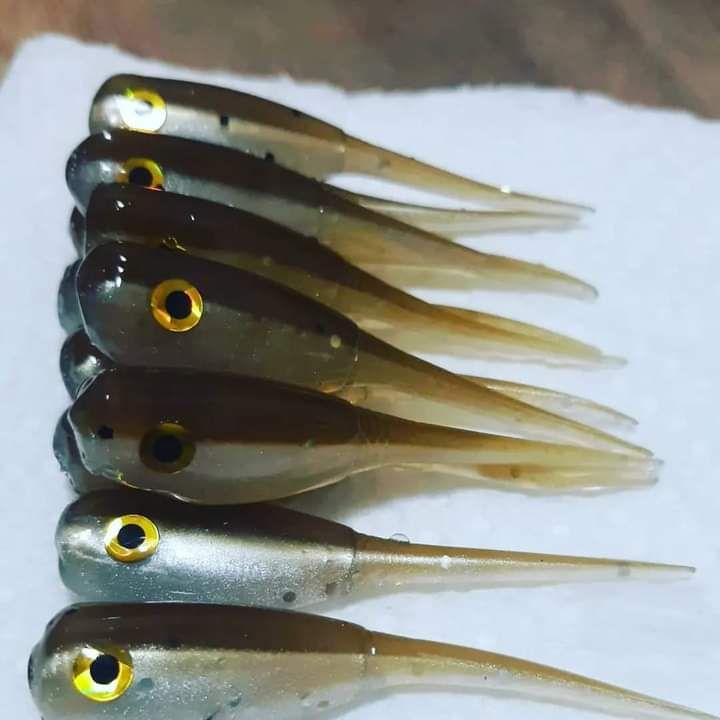 2&quot; Candy shad eyes 
12 per pack