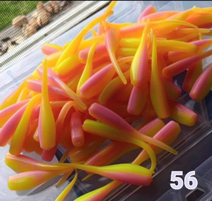 2&quot; Candy shad 
12 per pack