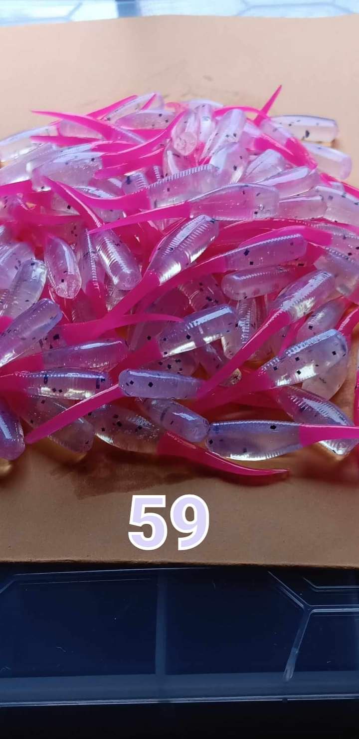 2&quot; Candy shad 
24 per pack