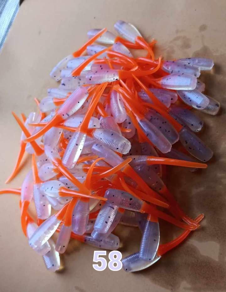 2&quot; Candy shad 
24 per pack