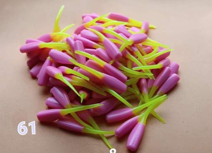 2&quot; Candy shad 
24 per pack