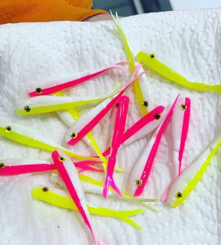 2 1/4&quot; Mad hoppin minnows 
5 of ea color
10 per pack