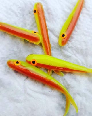 2 1/4&quot; Mad hoppin minnows 
10 per pack