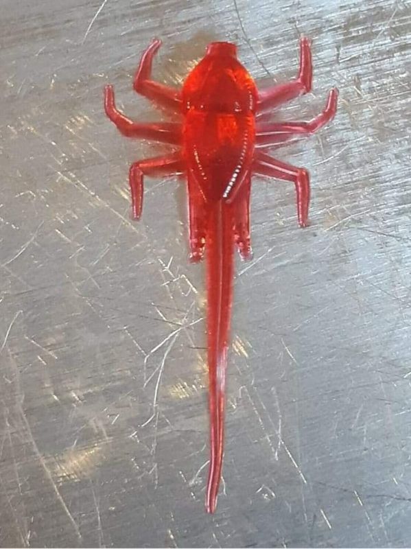 1&quot; Ice Nymph 12 per pack   ( color listed attached)