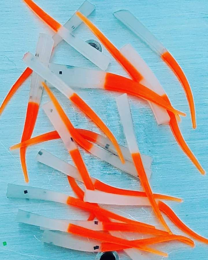 1.5&quot; Venom wedge 10 per pack
