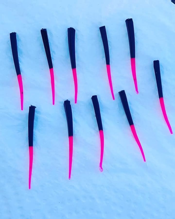 1.5&quot; Venom wedge 10 per pack