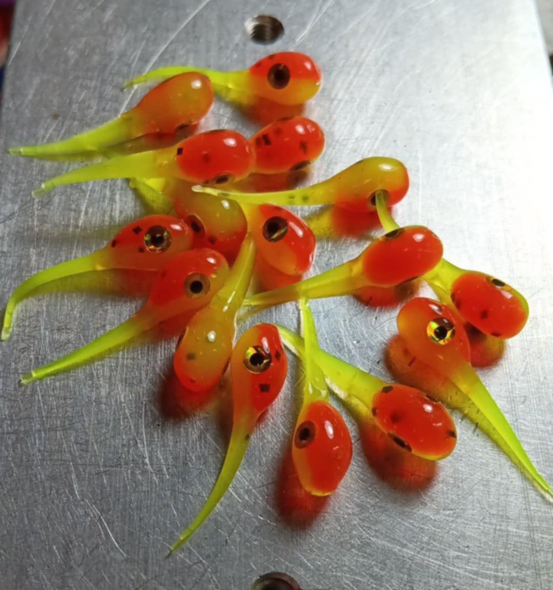 1&quot; Nano Lake hoppin fire cricket  10 per pk  orange  with a hint of red &amp; black flake &amp; Chartreuse &amp; black flake