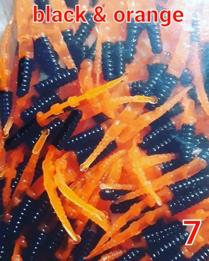 1.5&quot; Dancin leeches  100 per pack