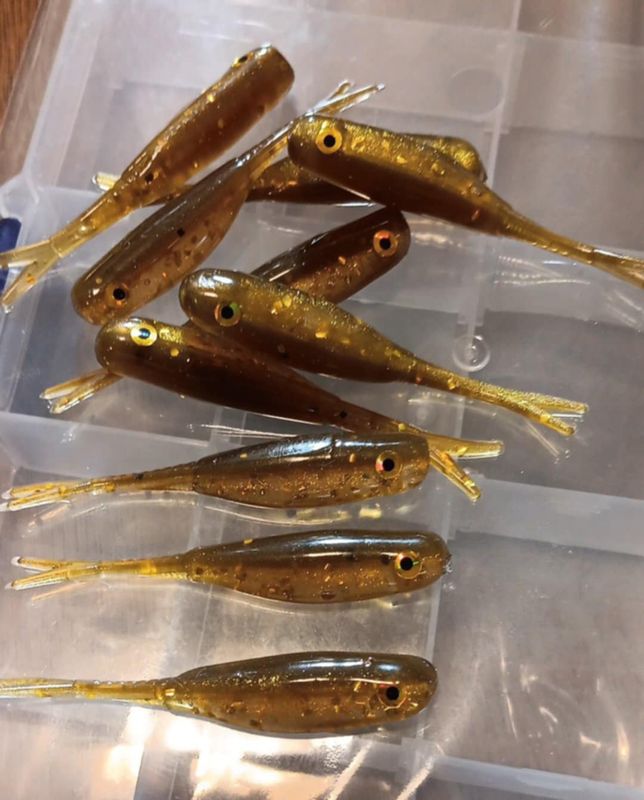 2&quot; Crappie Minnow  10 per pack  Brown &amp; gold