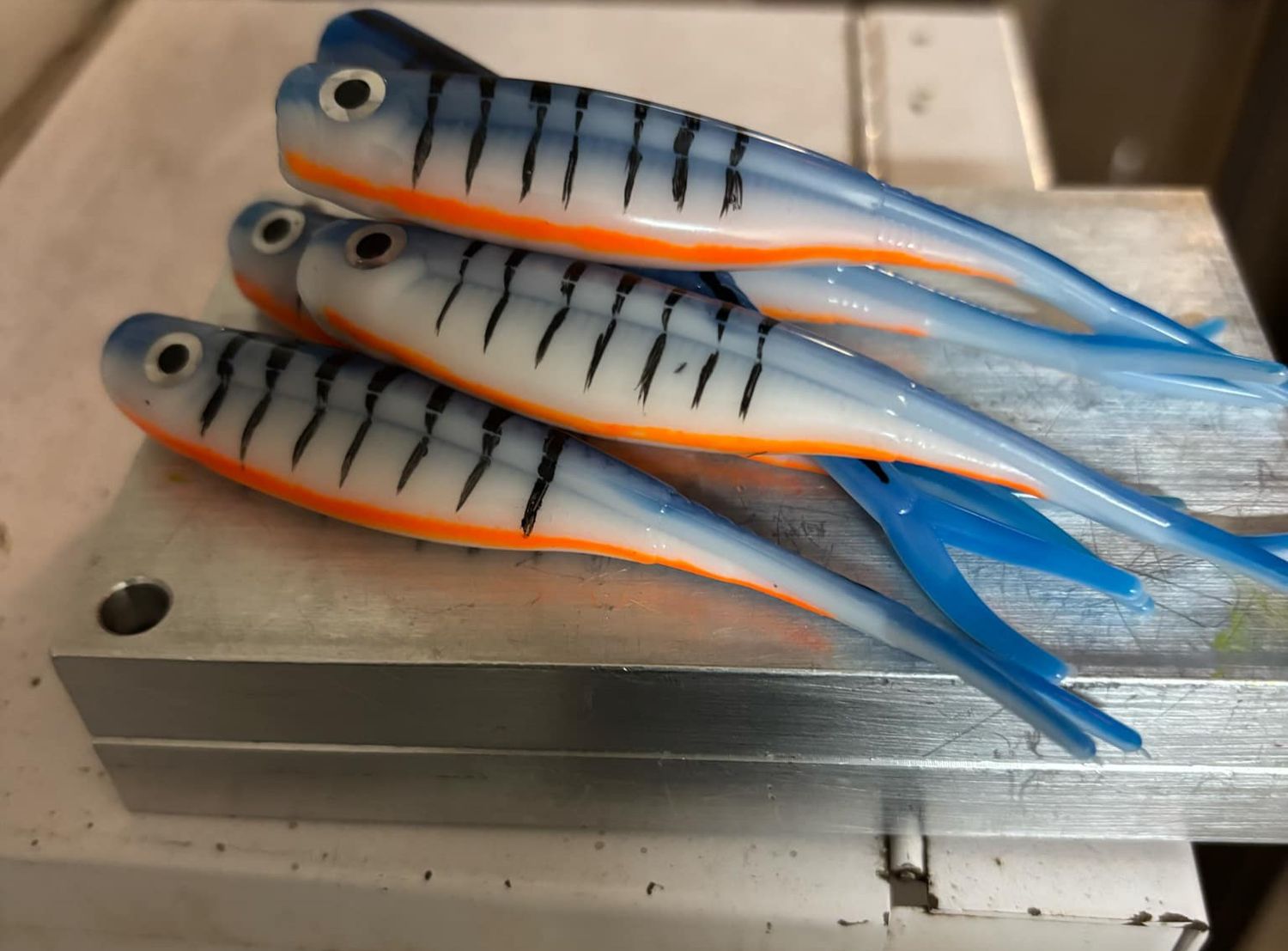 4&quot; Walleye minnow  Blue tiger  6 per pack