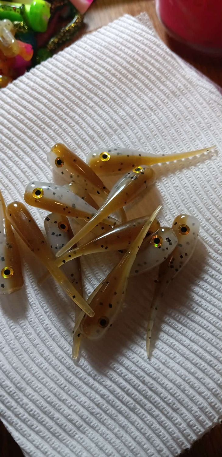 2&quot; Candy shad eyes Mississippi shiner  12 per pack
