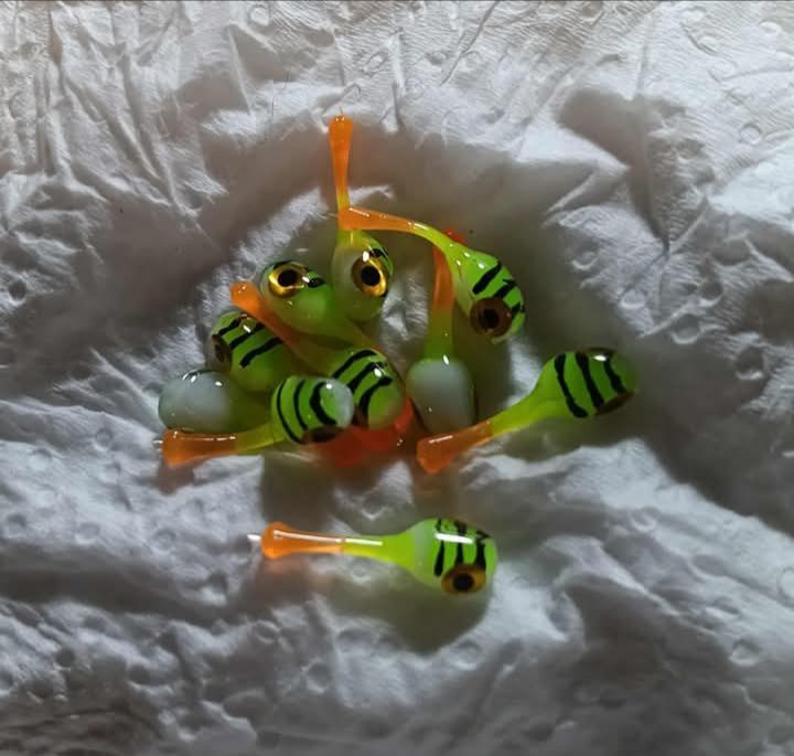 1/2&quot; Lil titans Jelly bean tiger 10 per pack