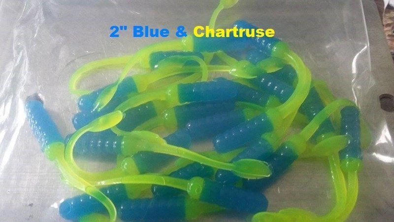 2&quot; nummies Blue &amp; Chartruse 50 pack  blue &amp; chartruse