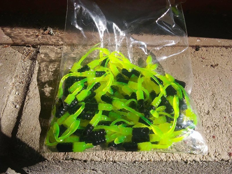 Black &amp; Chartruse 2&quot; nummies  12 per pack