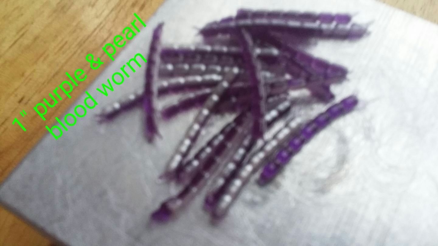 blood worm 20 per pk purple/pearl