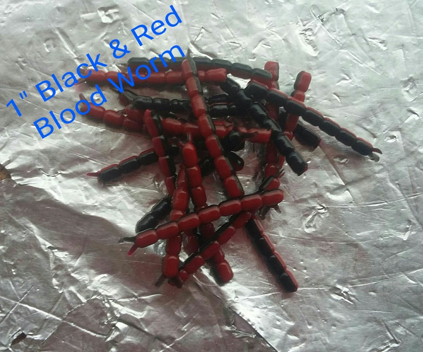 blood worm 20 per pk black/red