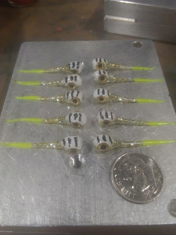 1 1/4&quot;  Big eyed Lil Swimmers tiger 10 per pk  white top/gold flake bottom/ chartruse tip tail