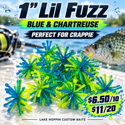 1" Lil fuzz